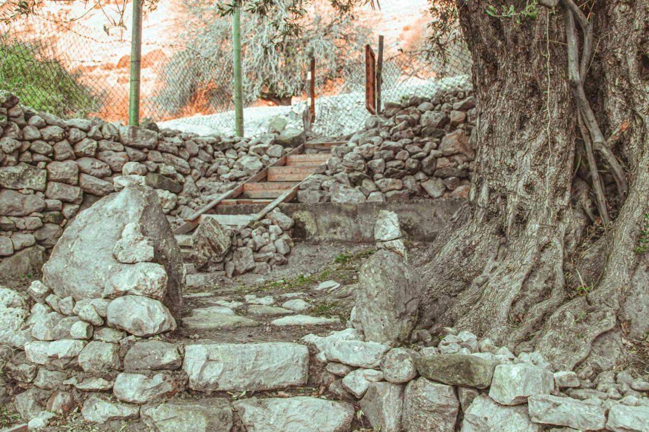 Hobbit Village Dana Buitenkant foto